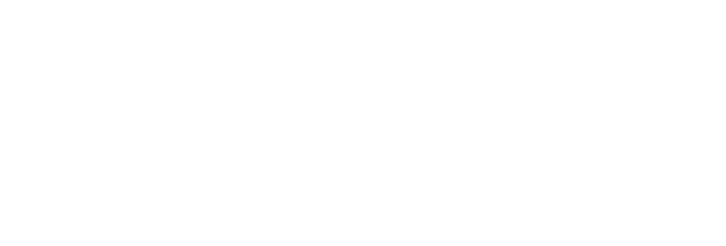 LDVS